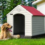 Waleaf Plastic Dog House Outdoor Indoor for Small Medium Larige Dogs,Waterproof Dog Houses with Elevated Floor and Air Vents,Durable Ventilate & Easy Clean and Assemble - Image 24